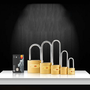 High security padlock keyed different keyed alike master key 20-70 mm medium type padlock