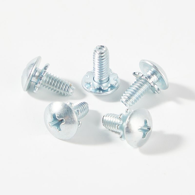 Truss head self locking screw with serrated washer