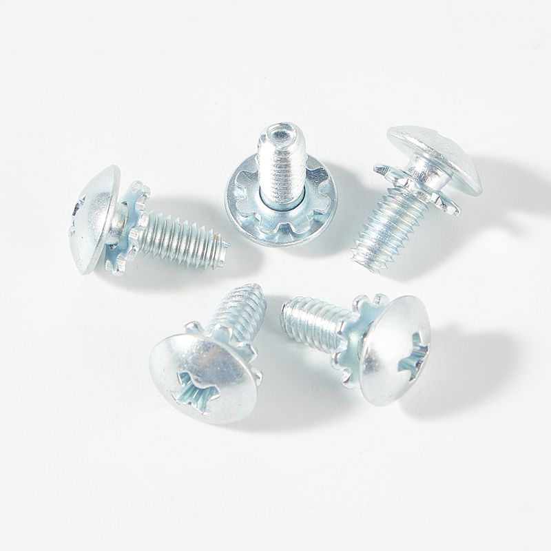 Truss head self locking screw with serrated washer