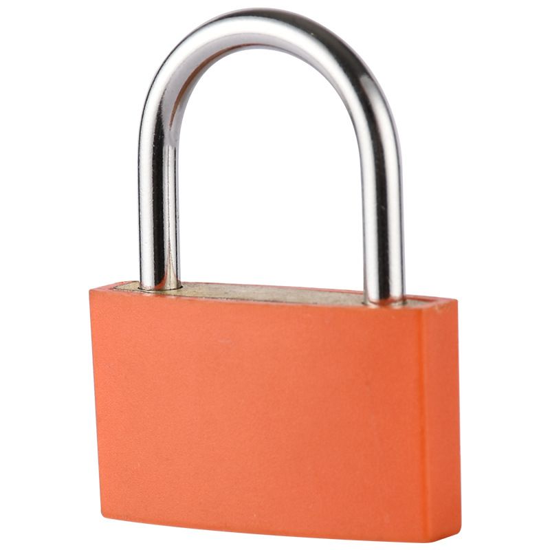 Plastic Padlock Security Seals Disposable Padlocks For Trailers Padlock With Chain Security