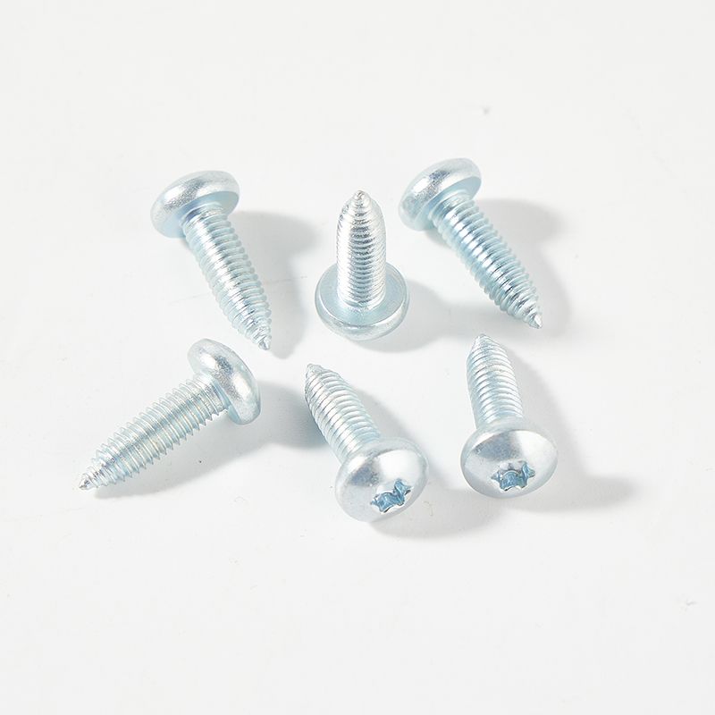 Galvanized torx socket drive machine screw pointed tail