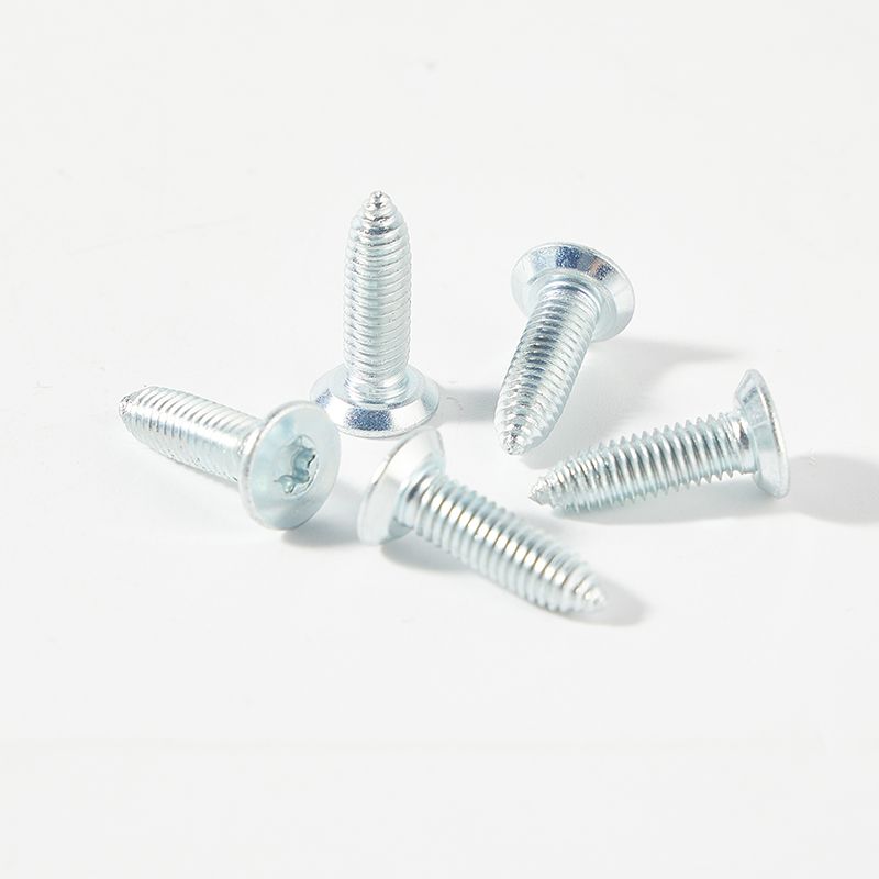 Carbon steel torx head self tapping screw