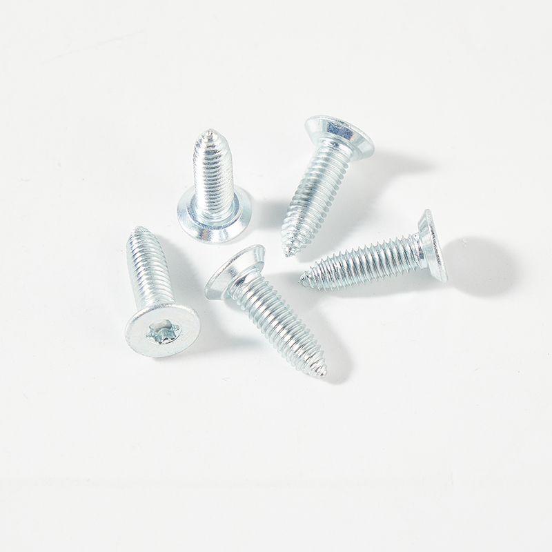 Carbon steel torx head self tapping screw