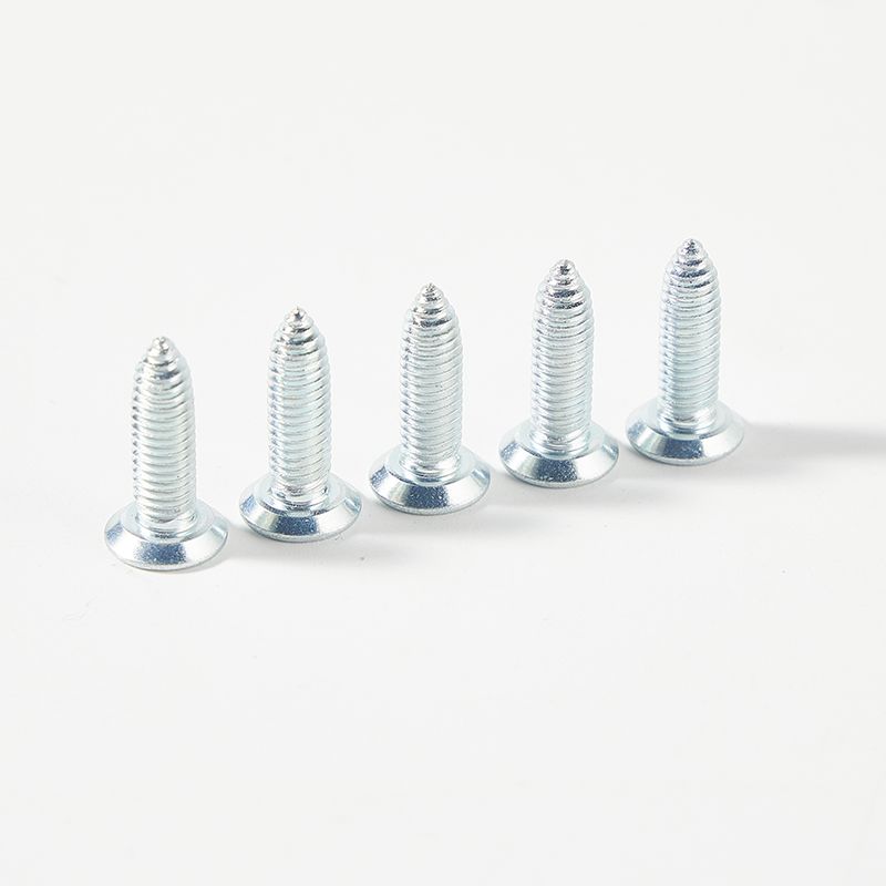 Carbon steel torx head self tapping screw