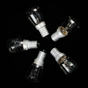 Wholesale High Quality Refrigerator Light Bulb Incandescent Light Bulbs