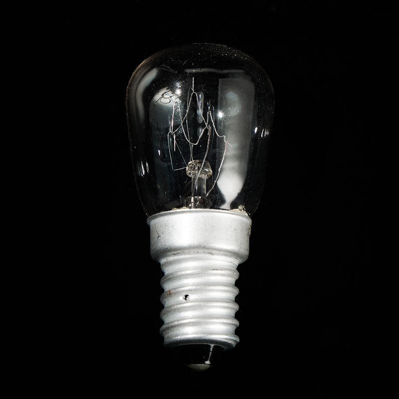 Wholesale High Quality Refrigerator Light Bulb Incandescent Light Bulbs