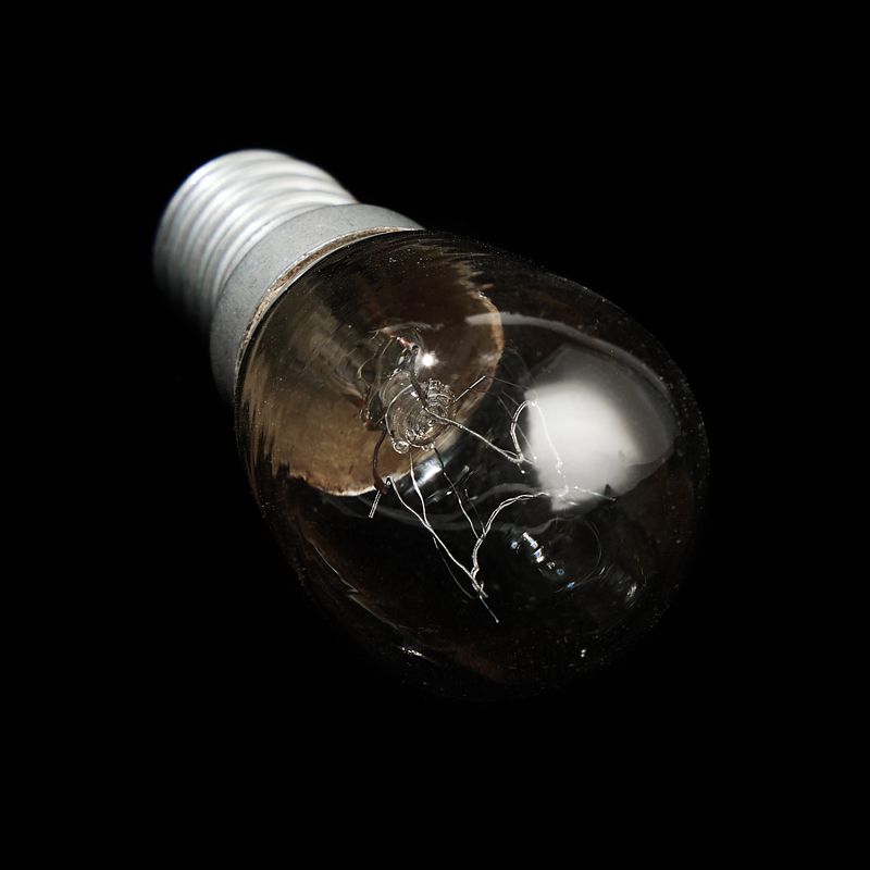 Wholesale High Quality Refrigerator Light Bulb Incandescent Light Bulbs