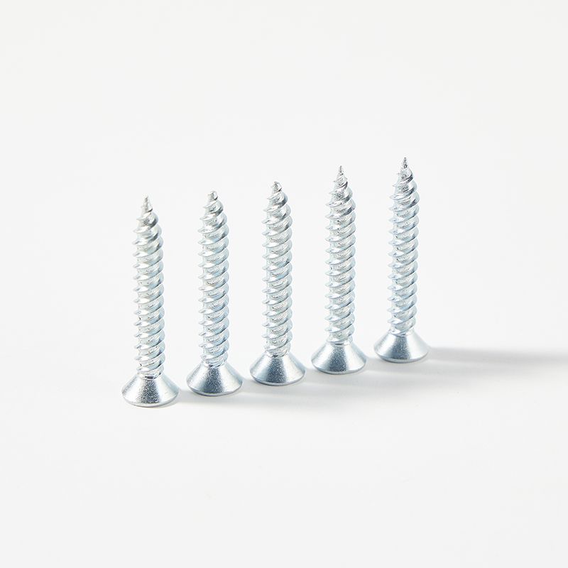 Galvanized pan head self tapping screw various head screw