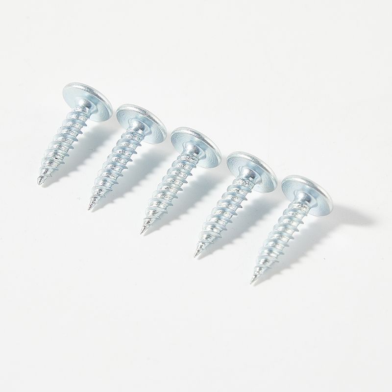 Zinc plated pionted tail torx socket self tapping screw