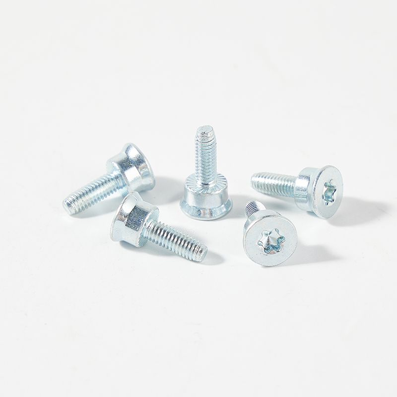 3.5x10 customized step head special screw with #2 torx recess