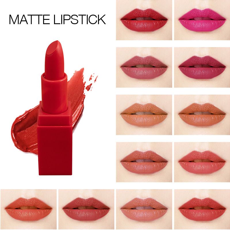 BSIMONE 12 Colors Stylish Matte Lipstick OEM ODM