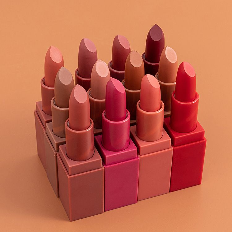 BSIMONE 12 Colors Stylish Matte Lipstick OEM ODM