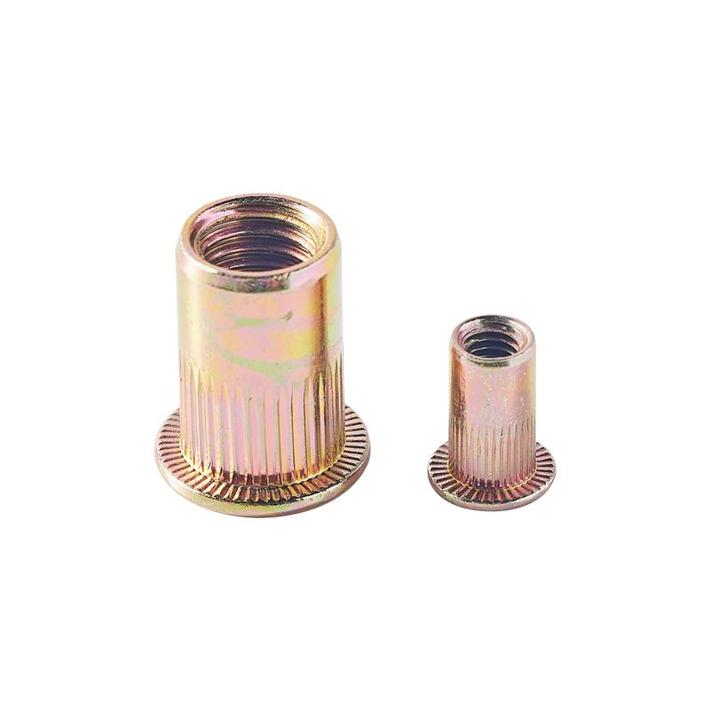 Heavy Industry Durable Galvanized Zinc Colorful Custom Blind Rivet Nut