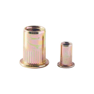 Heavy Industry Durable Galvanized Zinc Colorful Custom Blind Rivet Nut