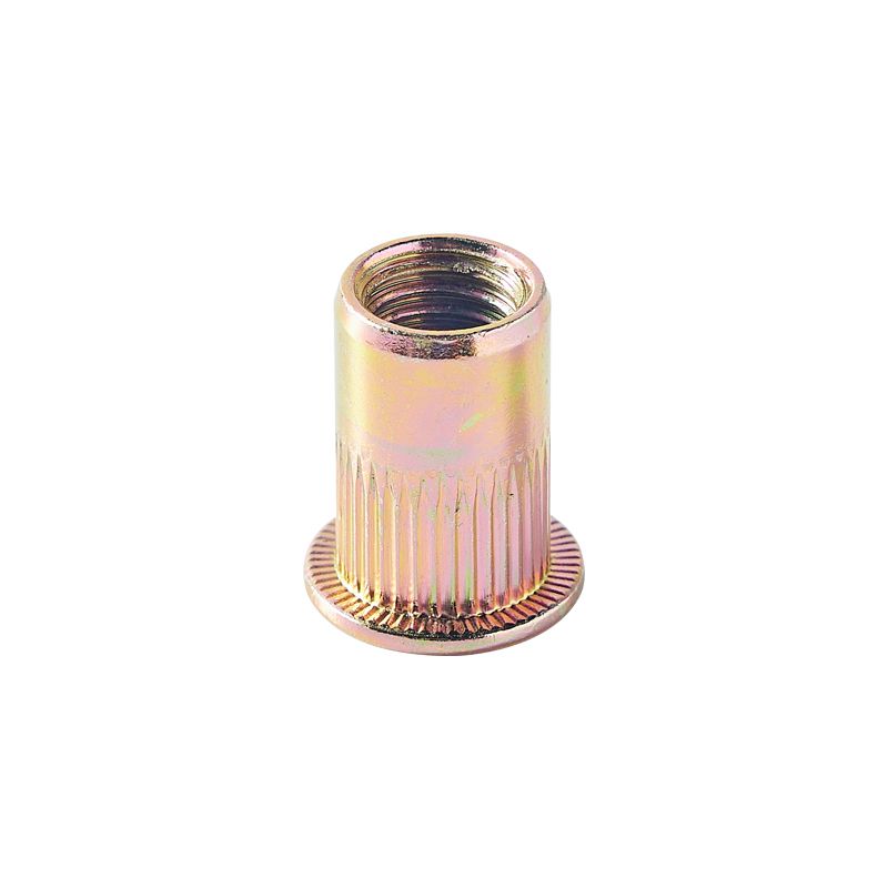 Heavy Industry Durable Galvanized Zinc Colorful Custom Blind Rivet Nut