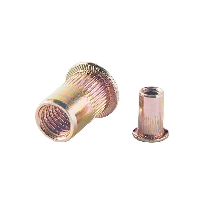 Heavy Industry Durable Galvanized Zinc Colorful Custom Blind Rivet Nut