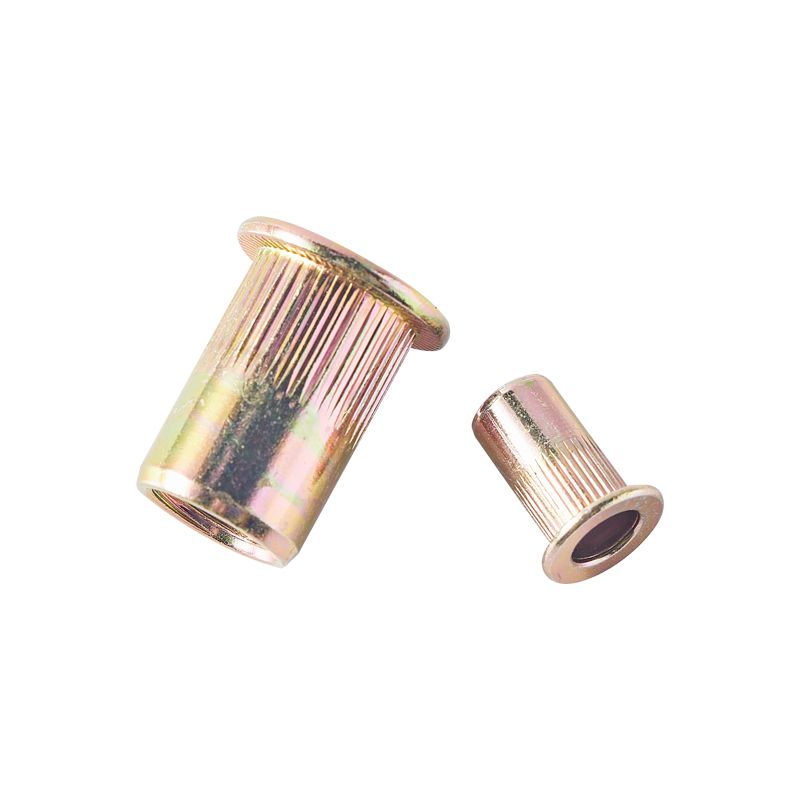 Heavy Industry Durable Galvanized Zinc Colorful Custom Blind Rivet Nut