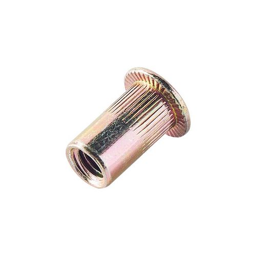 China High Quality Custom Zinc Vertical Pressure Waterproof Blind Rivet Nut