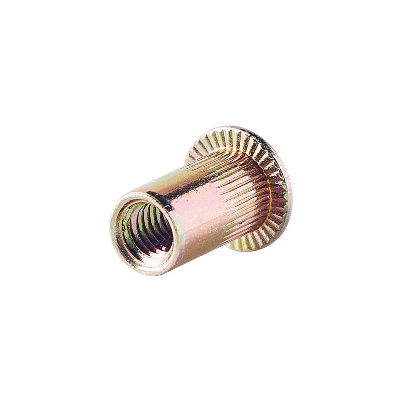 China High Quality Custom Zinc Vertical Pressure Waterproof Blind Rivet Nut