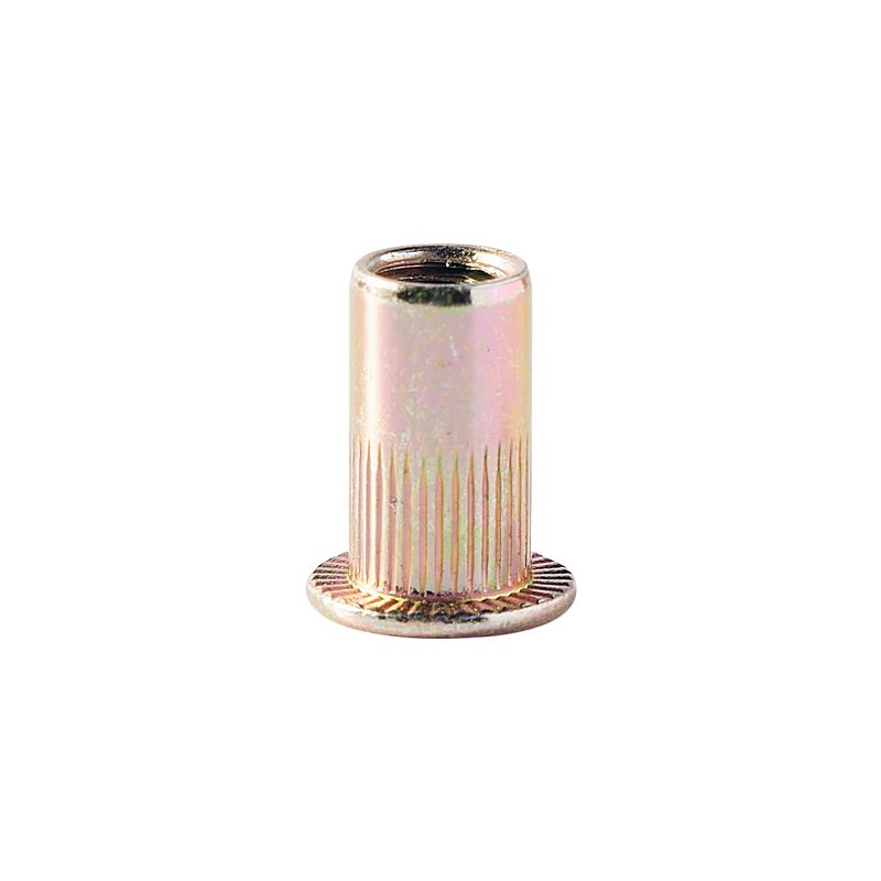 China High Quality Custom Zinc Vertical Pressure Waterproof Blind Rivet Nut