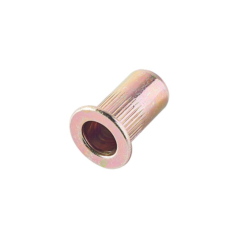 China High Quality Custom Zinc Vertical Pressure Waterproof Blind Rivet Nut