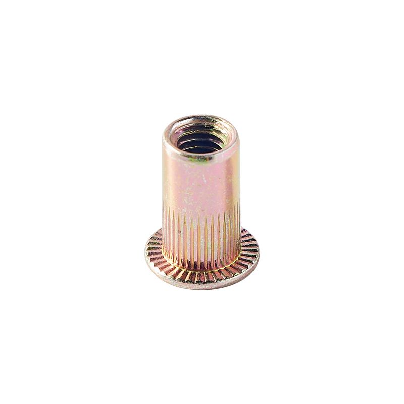 China High Quality Custom Zinc Vertical Pressure Waterproof Blind Rivet Nut