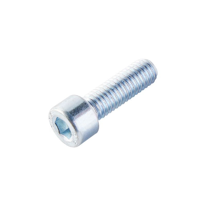 Custom Fasteners Full Thread Stainless Steel Head Cap Screws Galvanized Hex Socket