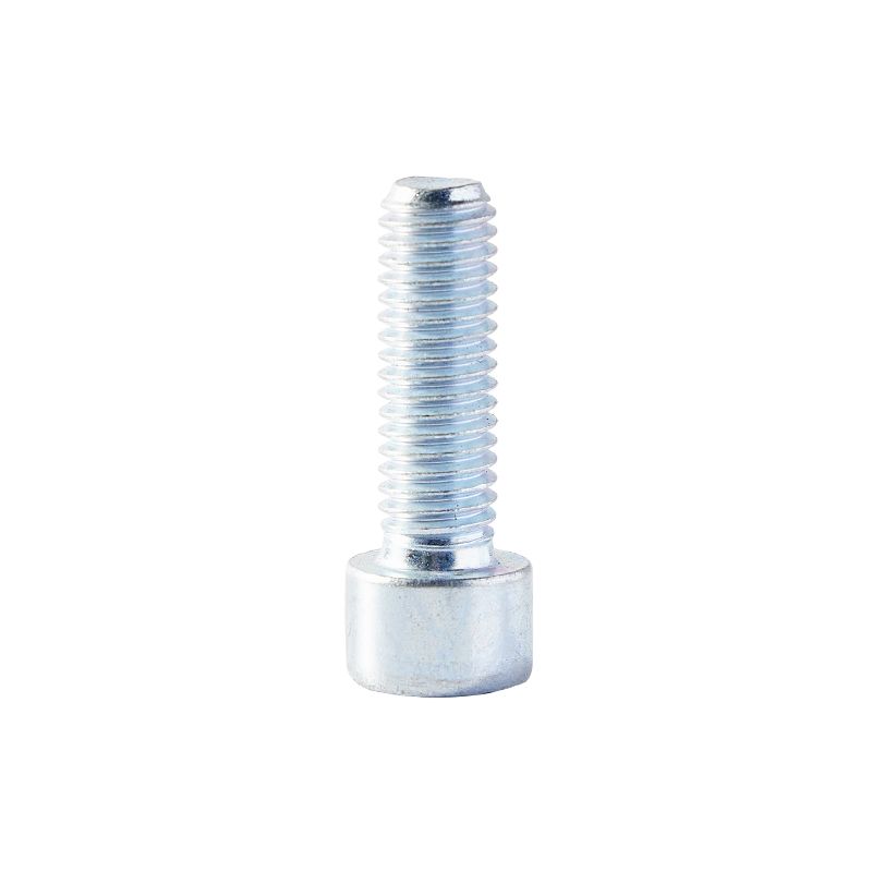 Custom Fasteners Full Thread Stainless Steel Head Cap Screws Galvanized Hex Socket