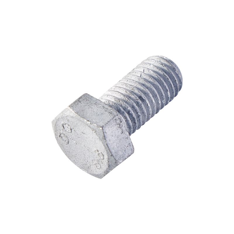 High Quality Hot Dipped Galvanized Structural Hex Nut Rust Proof Hexagonal Bolts