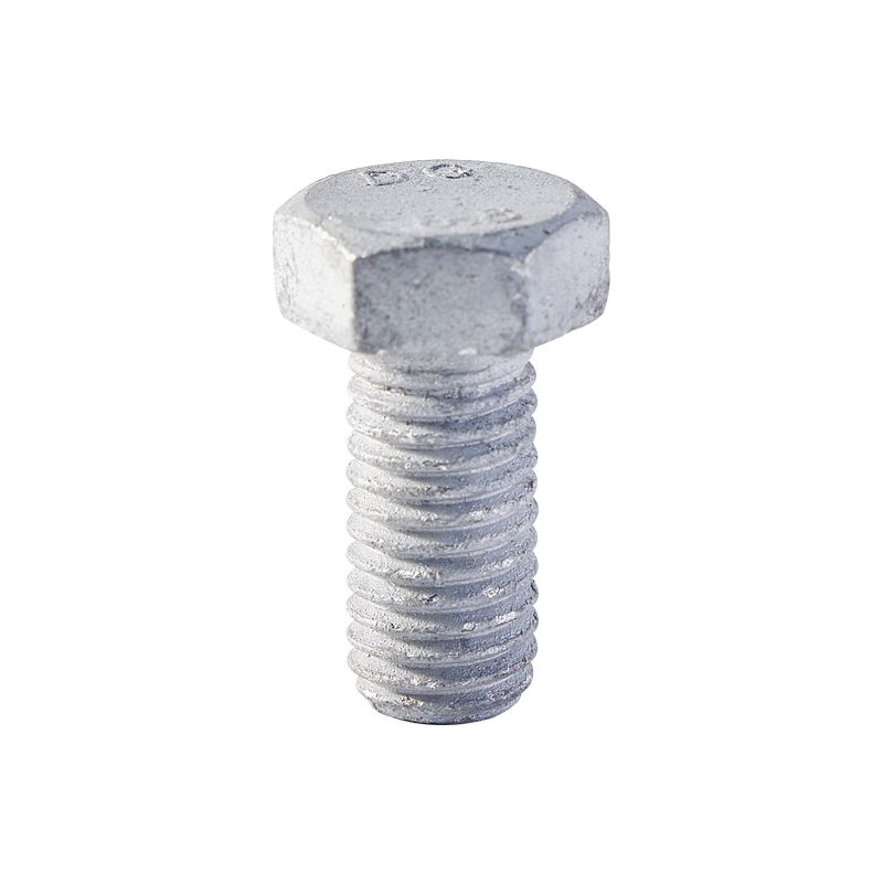 High Quality Hot Dipped Galvanized Structural Hex Nut Rust Proof Hexagonal Bolts