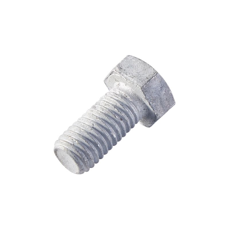 High Quality Hot Dipped Galvanized Structural Hex Nut Rust Proof Hexagonal Bolts