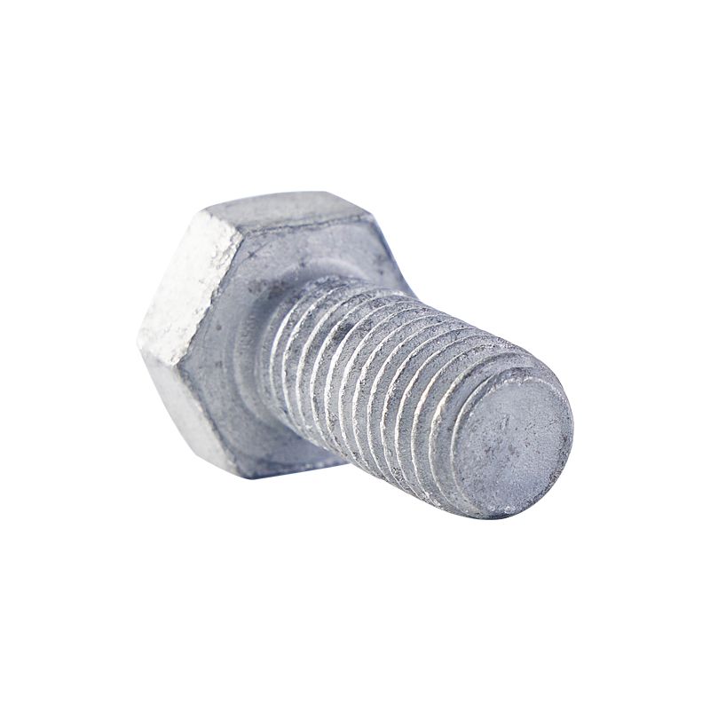 High Quality Hot Dipped Galvanized Structural Hex Nut Rust Proof Hexagonal Bolts