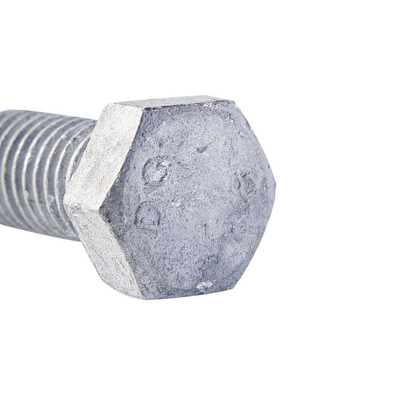 High Quality Hot Dipped Galvanized Structural Hex Nut Rust Proof Hexagonal Bolts