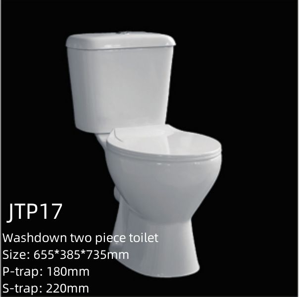 Heavy Duty Floor Standing Two Piece Ceramic Disabled Toilet For Elderly