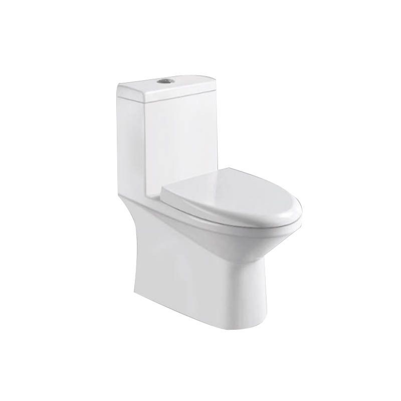 American Market Standard Siphonic Bathrooms Designs Vacuum Flush Ceramic Toilet