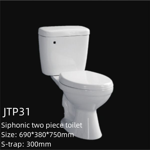 First Class Cheap Floor Mounted White Color Modern Rimless Luxury Bathroom Toilet Bowl