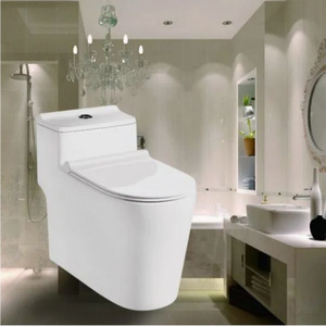 Bathroom Ceramic White Color Soft Seat Cover Commode Toilet