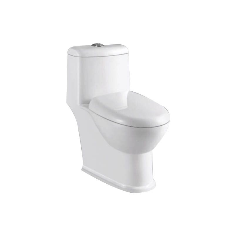 Professional Middle East Style Ceramic Combination Toilet For Bathroom