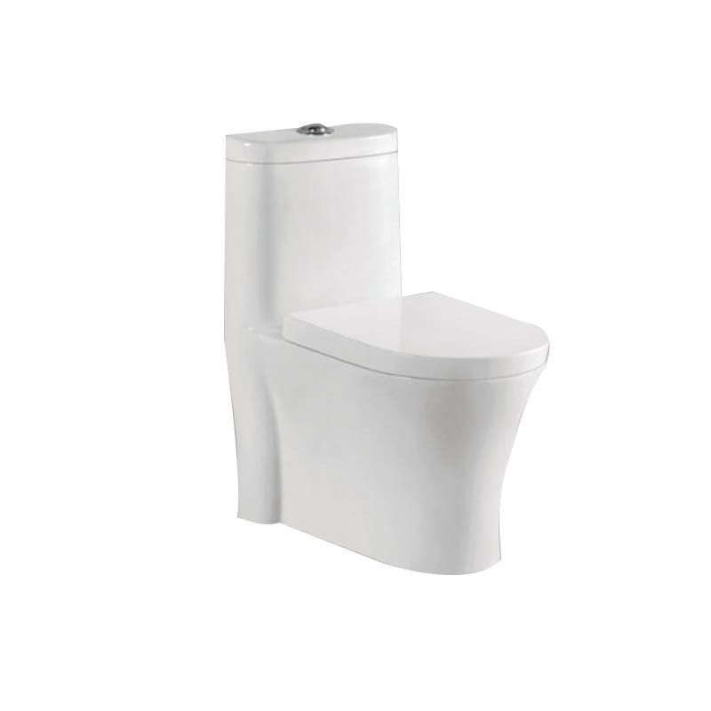 Professional Middle East Style Ceramic Combination Toilet For Bathroom