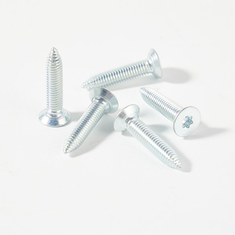 Self tapping screw with torx drive and flat head