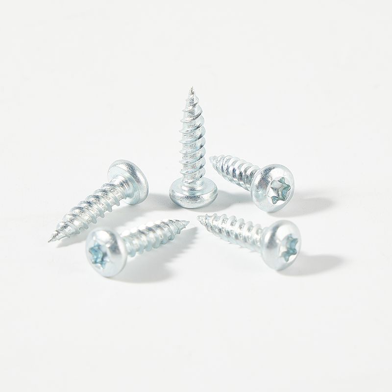 Zinc plated torx pan head self tapping screw