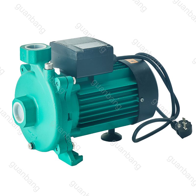 1hp 220V 21m High Head Household Stainless Steel Hot Cold Water Circulating Pumps Hot water circulating pump