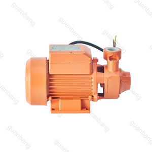 110v 220v 60hz QB60 QB70 QB80 High Pressure Electric Peripheral Vortex Household Booster Water Pumps 0.5HP 0.75HP 1HP