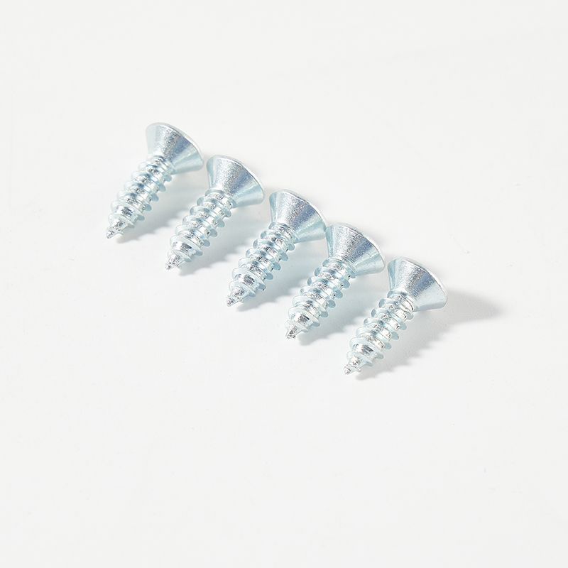 Galvanized countersunk head torx drive self tapping screw