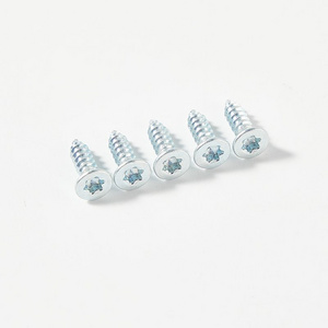 Galvanized countersunk head torx drive self tapping screw