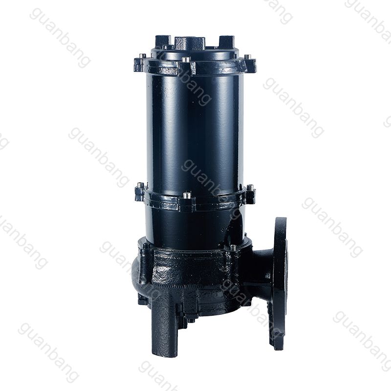 Sewage and Sewage Submersible Electric Pump Cast Iron Stainless Steel Black Wastewater Treatment Pumps 1 Years 220/380v 50~400mm