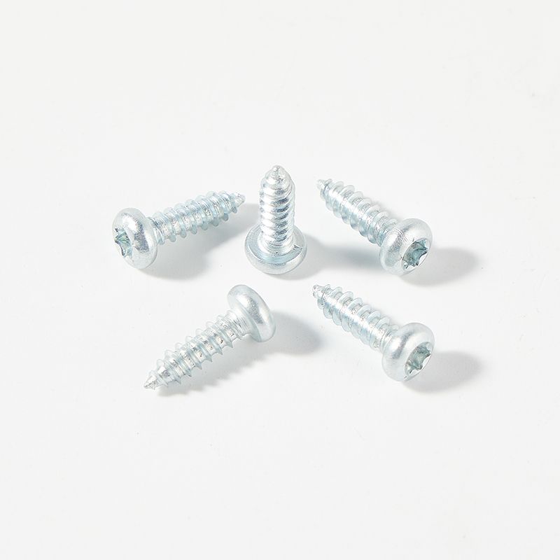 Galvanized pan torx head self tapping screw