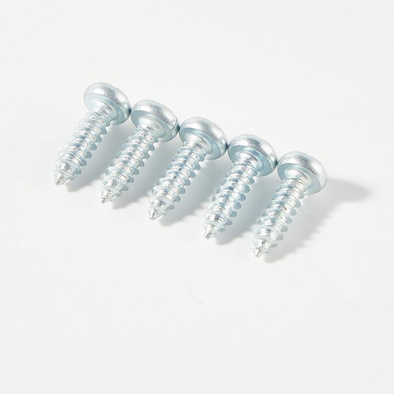 Galvanized pan torx head self tapping screw