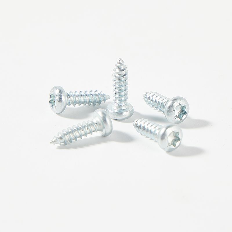 Galvanized pan torx head self tapping screw