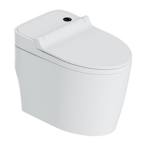 Bathroom One Piece Wc Ceramic Smart Toilet Automatic Cleaner Wc Toilet With Bidet